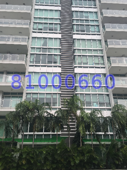 The Rochester Residences (D5), Condominium #38631972